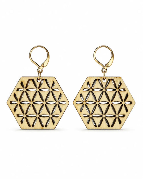 Boucle d'oreille en bois à forme varié