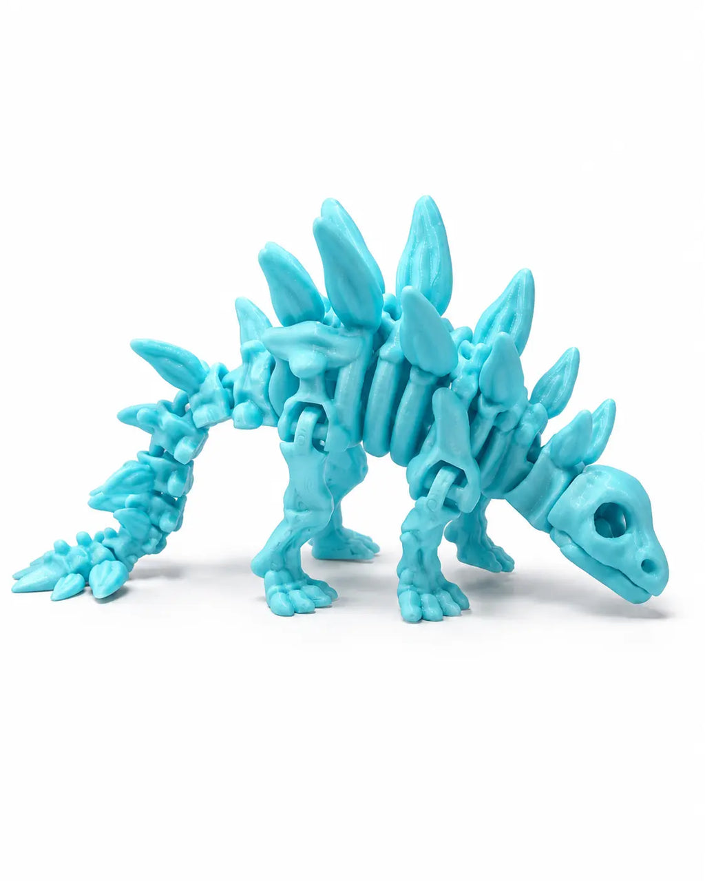 Dinosaure stégosaure squelette articulé