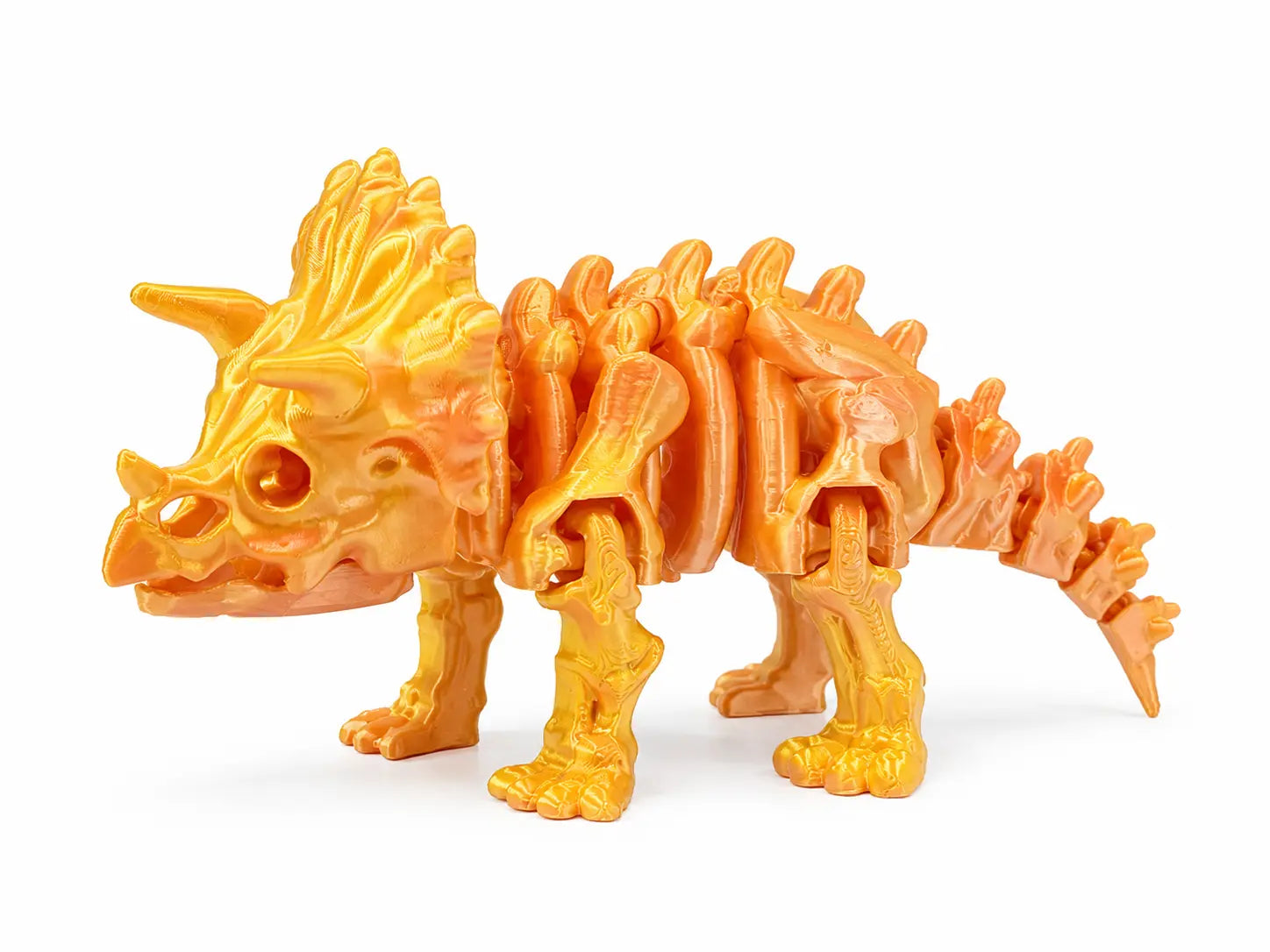 Dinosaure tricératops squelette articulé