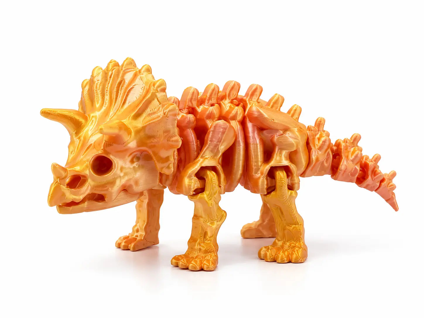 Dinosaure tricératops squelette articulé